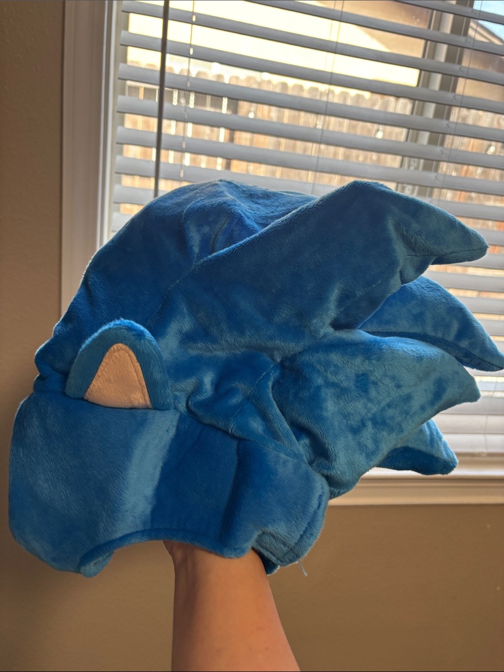 Sonic Head Costume